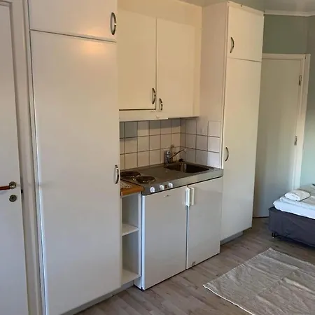 Haga Mini Apartment Enanger Exterior photo